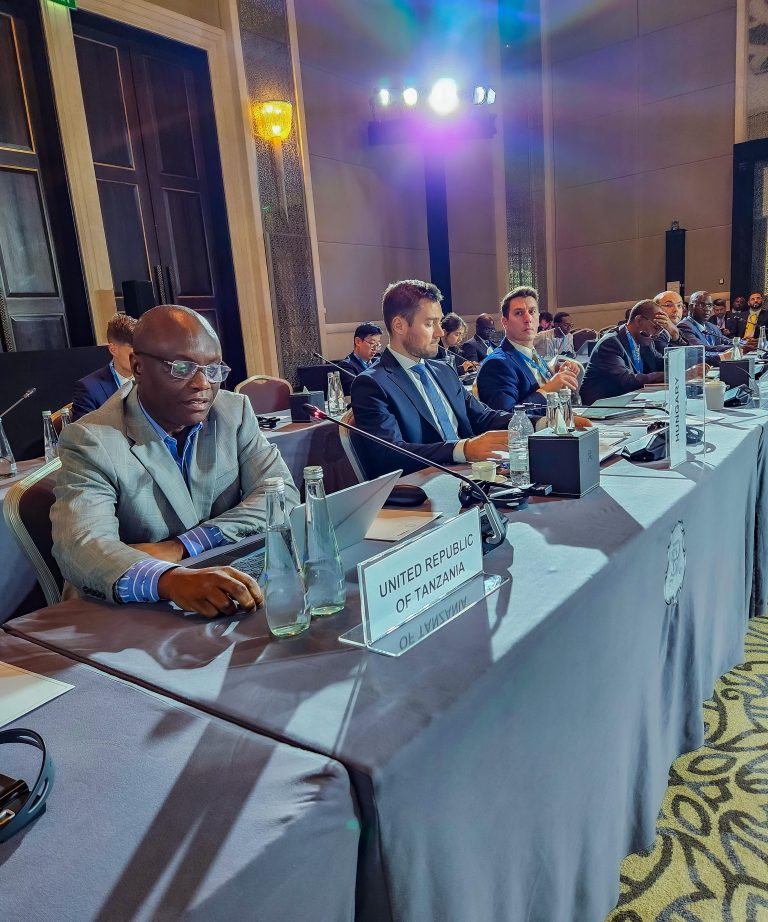 DK KAZUNGU:MEGAWATI 30 ZA JOTOARDHI KUINGIA KWENYE GRIDI IFIKAPO 2026/2027
