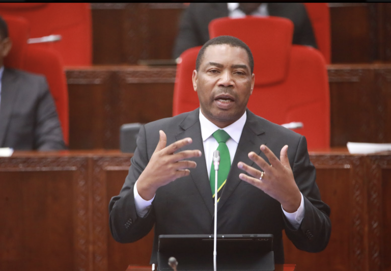 SERIKALI KUDHIBITI WANAOKWEPA KODI KWAKUBADILISHA MAJINA YA KAMPUNI