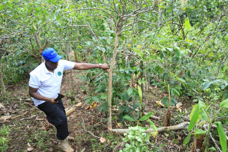 DCEA YAMNASA KINARA MIRUNGI,YATEKETEZA EKARI 285.5