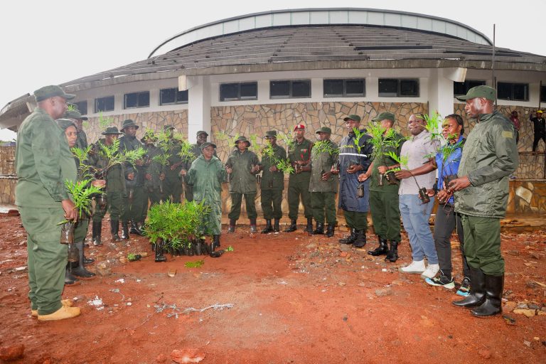 WATUMISHI WA NCAA WAPANDA MITI 1,000 NA MINGINE 10,000 WAGAIWA WANANCHI