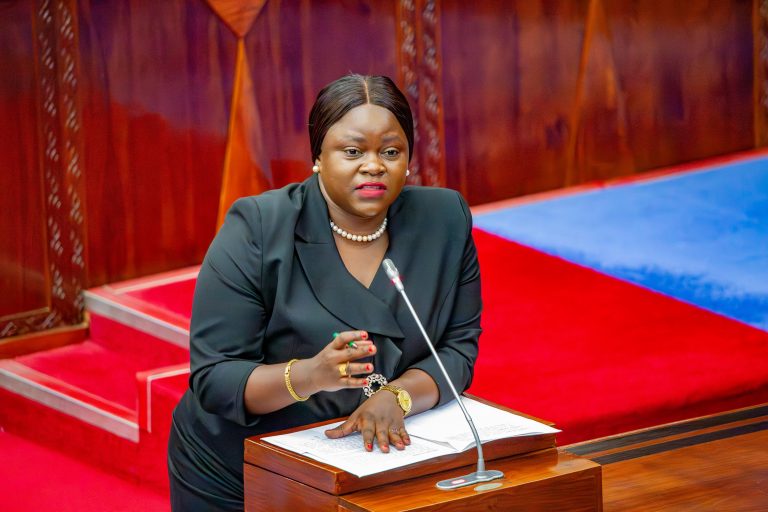 KAPINGA:ZAIDI YA NYUMBA 800 MTWARA KUUNGANISHWA NA MFUMO WA GESI YA KUPIKIA 