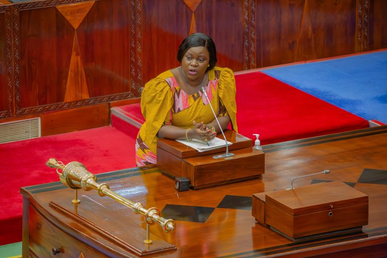 KAPINGA:SERIKALI  INAENDELEA KUTEKELEZA MIRADI YA  UMEME KWENYE MAENEO YA KIMKAKATI 