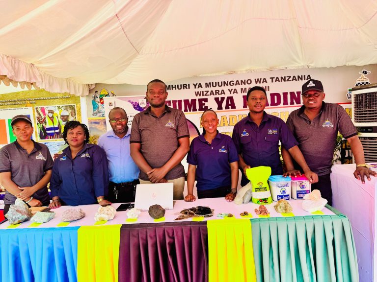 MWAMBAGE:FURSA ZA MADINI ZIPO KIDIGITALI