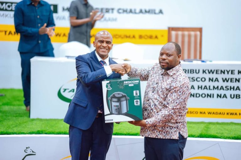 WENYEVITI SERIKALI ZA MITAA WATAKIWA KULINDA MIUNDOMBINU TANESCO