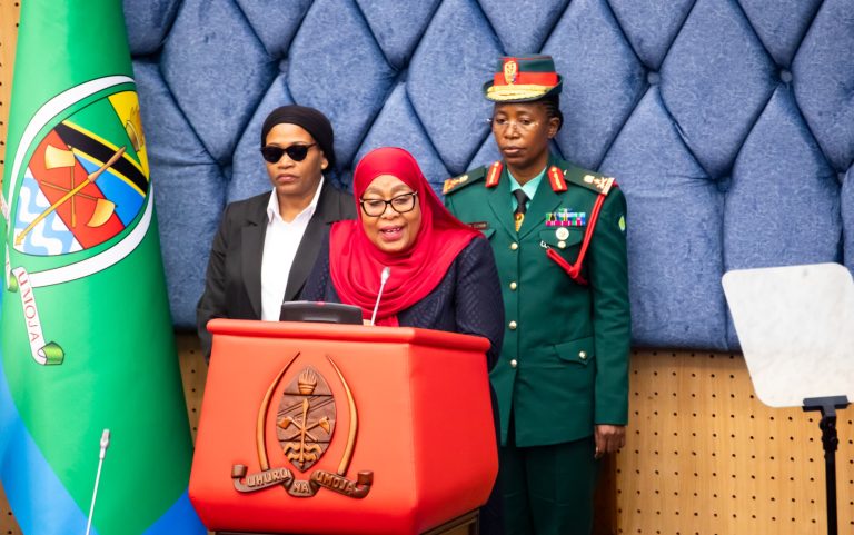 RAIS SAMIA ATAJA MAFANIKIO SEKTA YA NISHATI 2020-2025