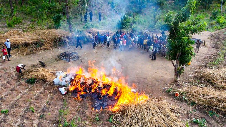 DCEA,TANAPA WATEKETEZA EKARI  614 ZA MASHAMBA YA BANGI