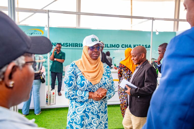WIZARA YA NISHATI ENDELEENI KUSIMAMIA UFANISI WA MIRADI YA NISHATI- DED MKALAMA