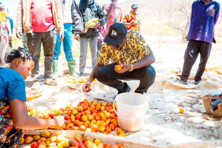 MBUNGE MAVUNDE AANZISHA UJENZI WA ZAHANATI MTAA WA MASEYA-HOMBOLO MAKULU