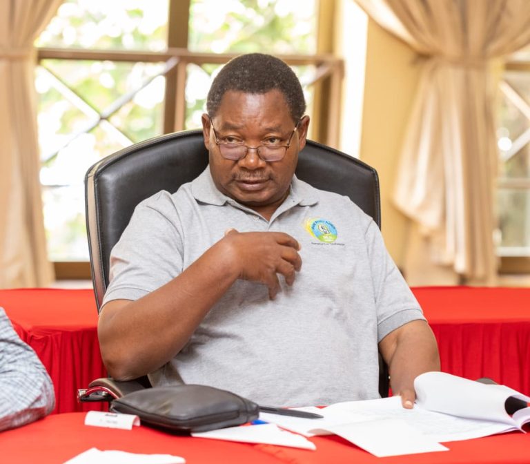 REA, TANESCO WATAKIWA KUSHIRIKIANA KUONGEZA IDADI YA WATEJA VIJIJINI