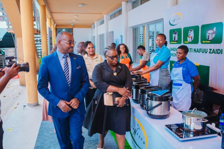 MPOGOLO AWATAKA WENYEVITI WA SERIKALI ZA MITAA KULINDA MIUNDOMBINU YA UMEME