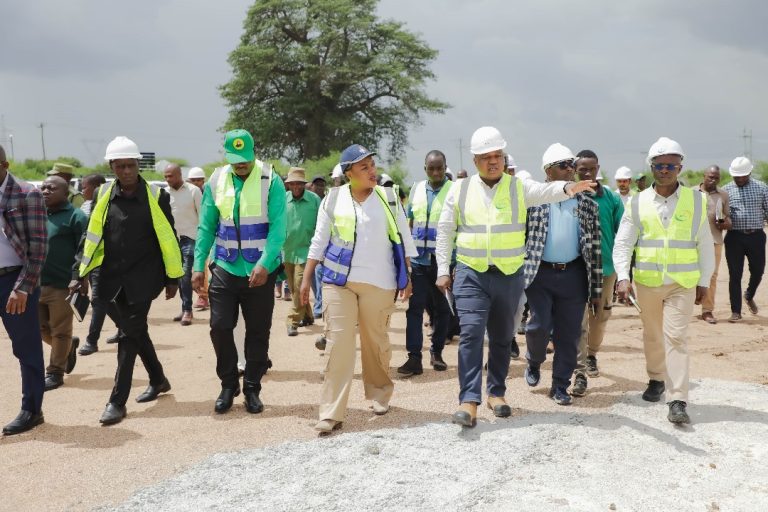 MRADI WA UMEME JUA KISHAPU UKO MBIONI KUKAMILIKA- MHE SALOME MAKAMBA