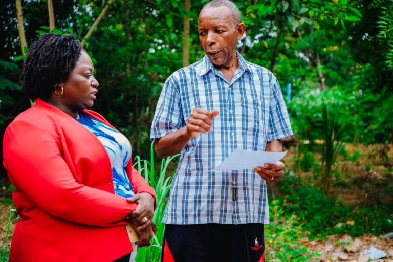 TANESCO YAFANYA UKAGUZI WA MITA KITAALAMU KUBAINI UKWELI MALALAMIKO YA UMEME KUISHA HARAKA YAGUNDUA MITA ZIPO SAWA