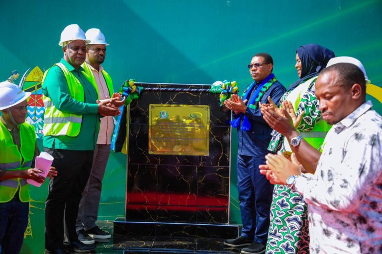 DKT.MWIGULU NCHEMBA AWEKA JIWE LA MSINGI MRADI WA KUPOZA UMEME-MKATA