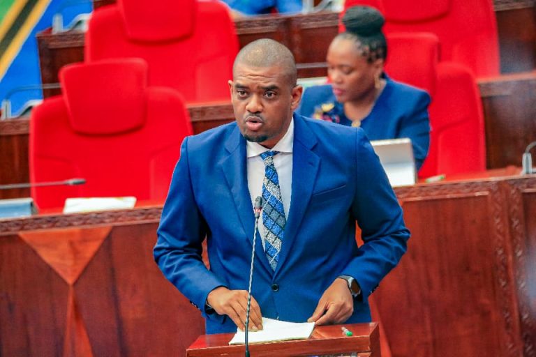 VITONGOJI VYOTE TANZANIA BARA KUWA NA UMEME IFIKAPO MWAKA 2030- WAZIRI NDEJEMBI