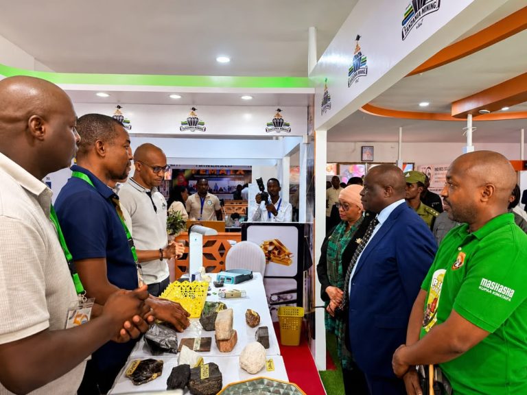 TANZANIA KINARA WA HIFADHI GRAPHITE AFRIKA,MAHITAJI YA LITHIUM YAENDELEA KUONGEZEKA DUNIANI