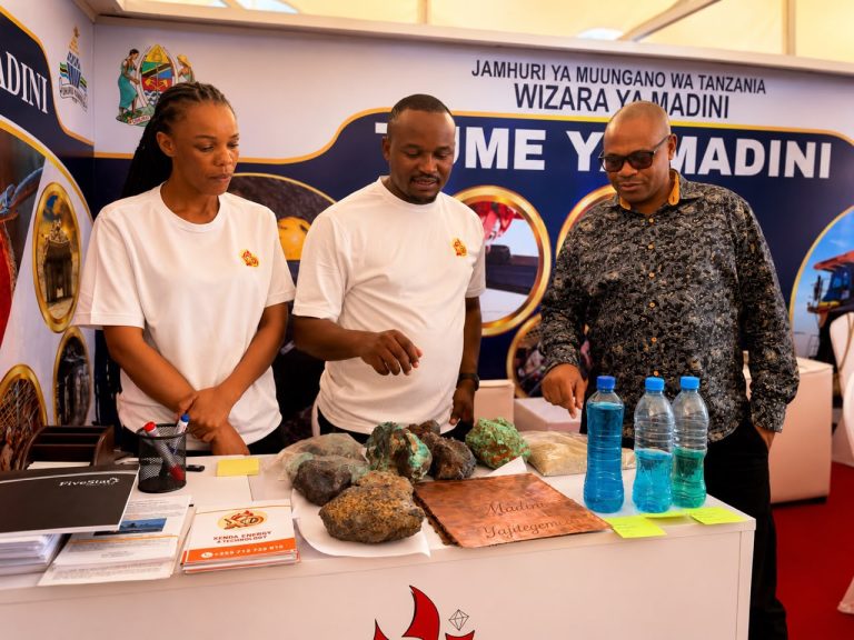 VIJANA WAHAMASISHWA KUTUMIA FURSA ZA MADINI KUJIKWAMUA KIUCHUMI