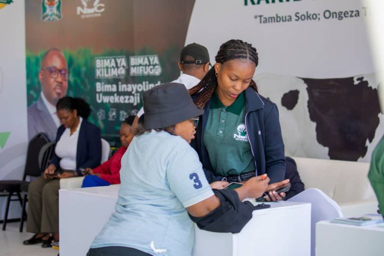 NIC:BIMA YA MAJALIWA NJIA SAHIHI  YAKUTIMIZA MALENGO YA KIFEDHA