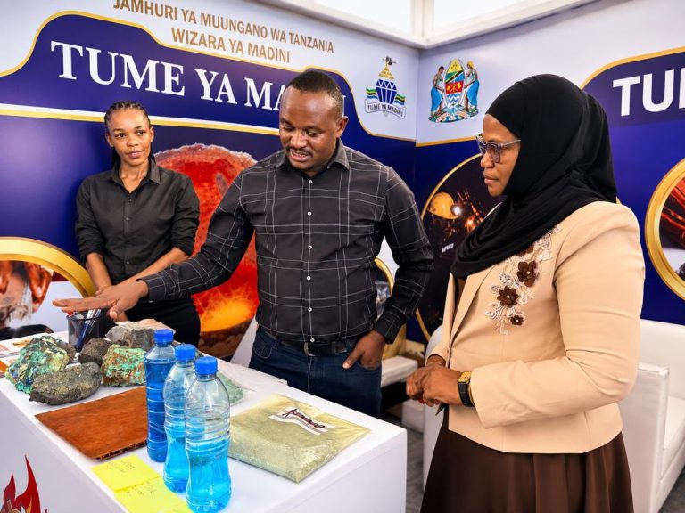 MHANDISI SWEDI: NANENANE NI FURSA YA KUIMARISHA SEKTA YA MADINI
